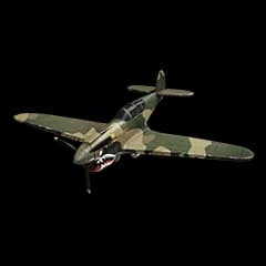 P-40 Fighter